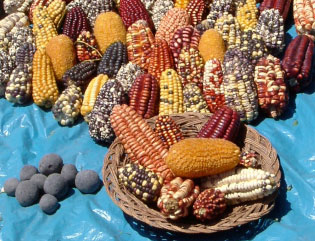 Muchas variedades de ma&iacute;z para la venta en un mercado en Ollantaytambo, Per&uacute;