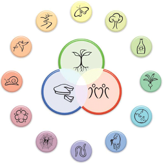 Permaculture Ethics and Design Principles Permaculture Ethics and Design Principles
